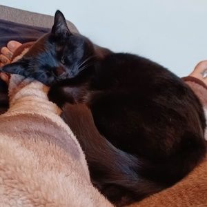 Meet your Posher, Maude